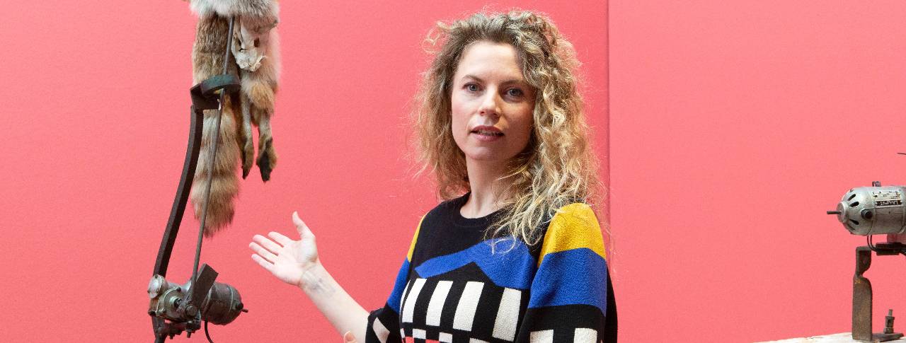 For English information please read below