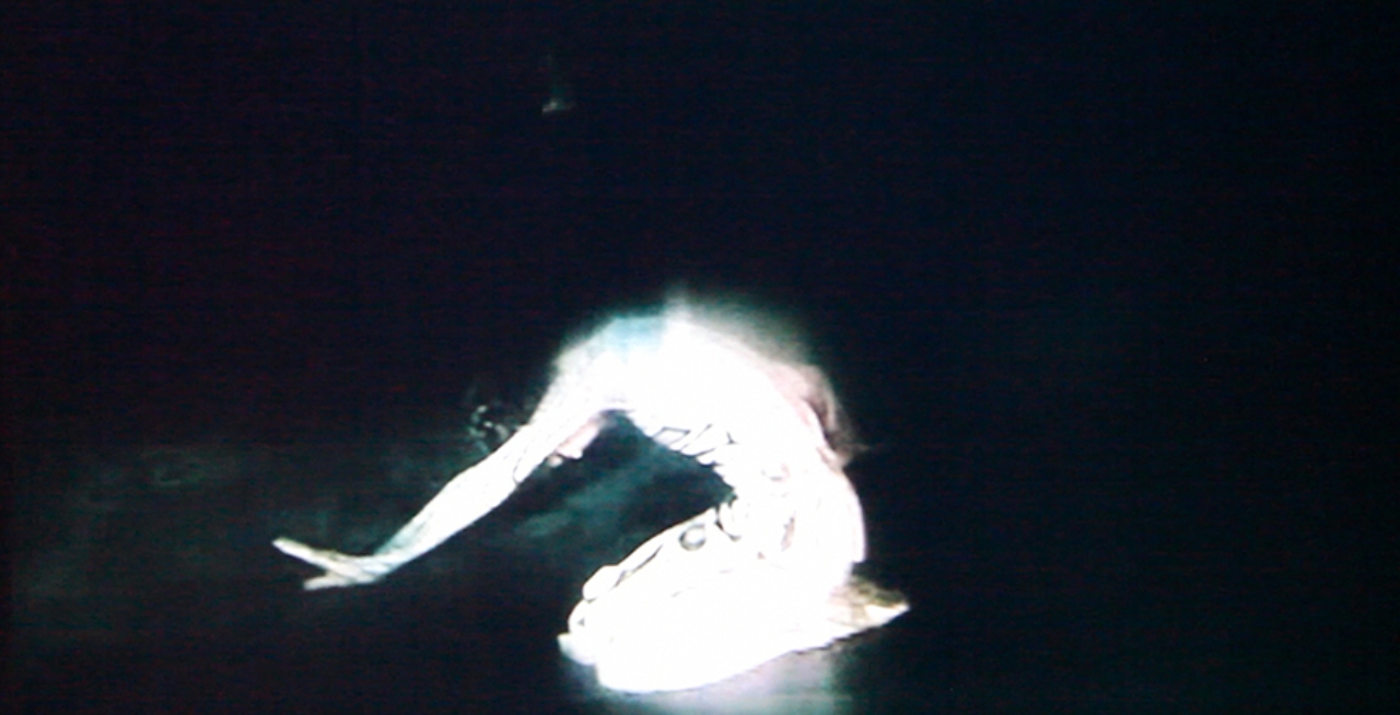 Film Screening: Night for Day by Emily Wardill