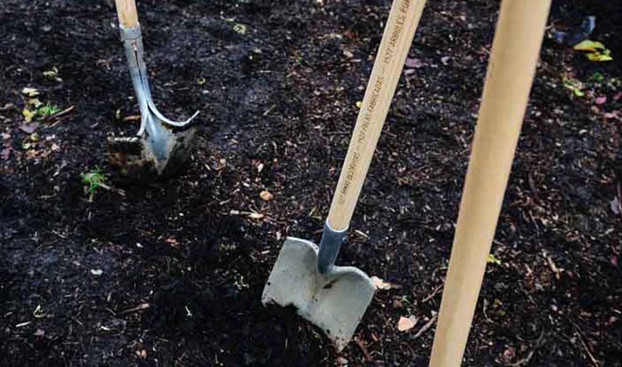 KW 45 DE Artist Talk Pedro Reyes