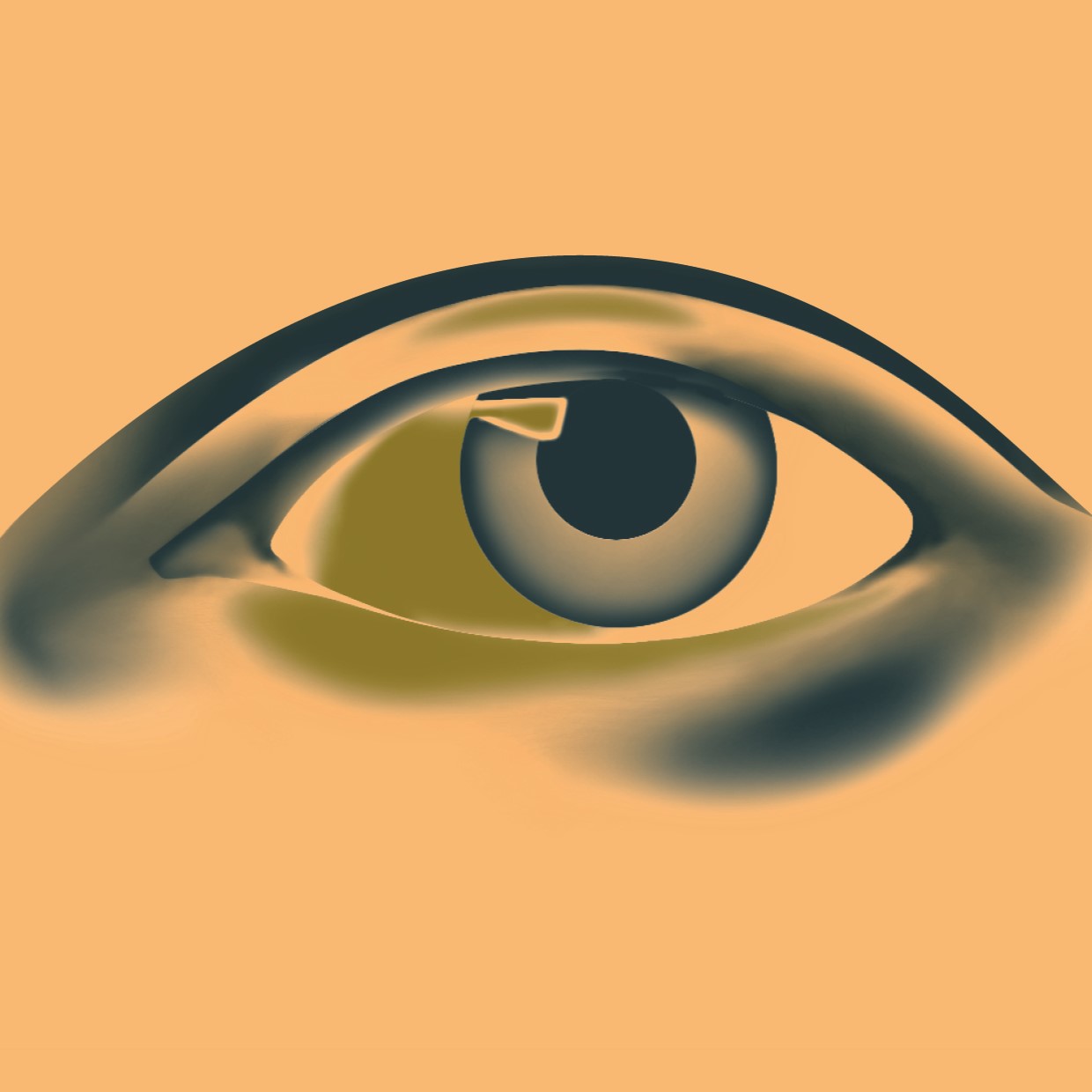 Les témoins oculistes. Der Sehsinn in der Kunst
